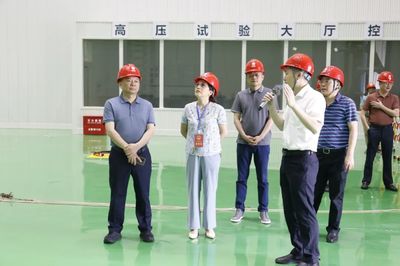 走項(xiàng)目、進(jìn)工地、察實(shí)情——區(qū)人大常委會(huì)視察全區(qū)重點(diǎn)項(xiàng)目建設(shè)工作，關(guān)注智能家電產(chǎn)業(yè)新動(dòng)能