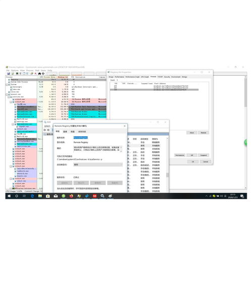 可疑進程Registry與系統安全性分析 木馬還是系統進程？